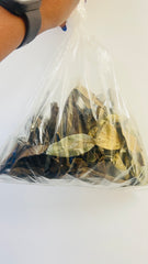 Soursop Leaves