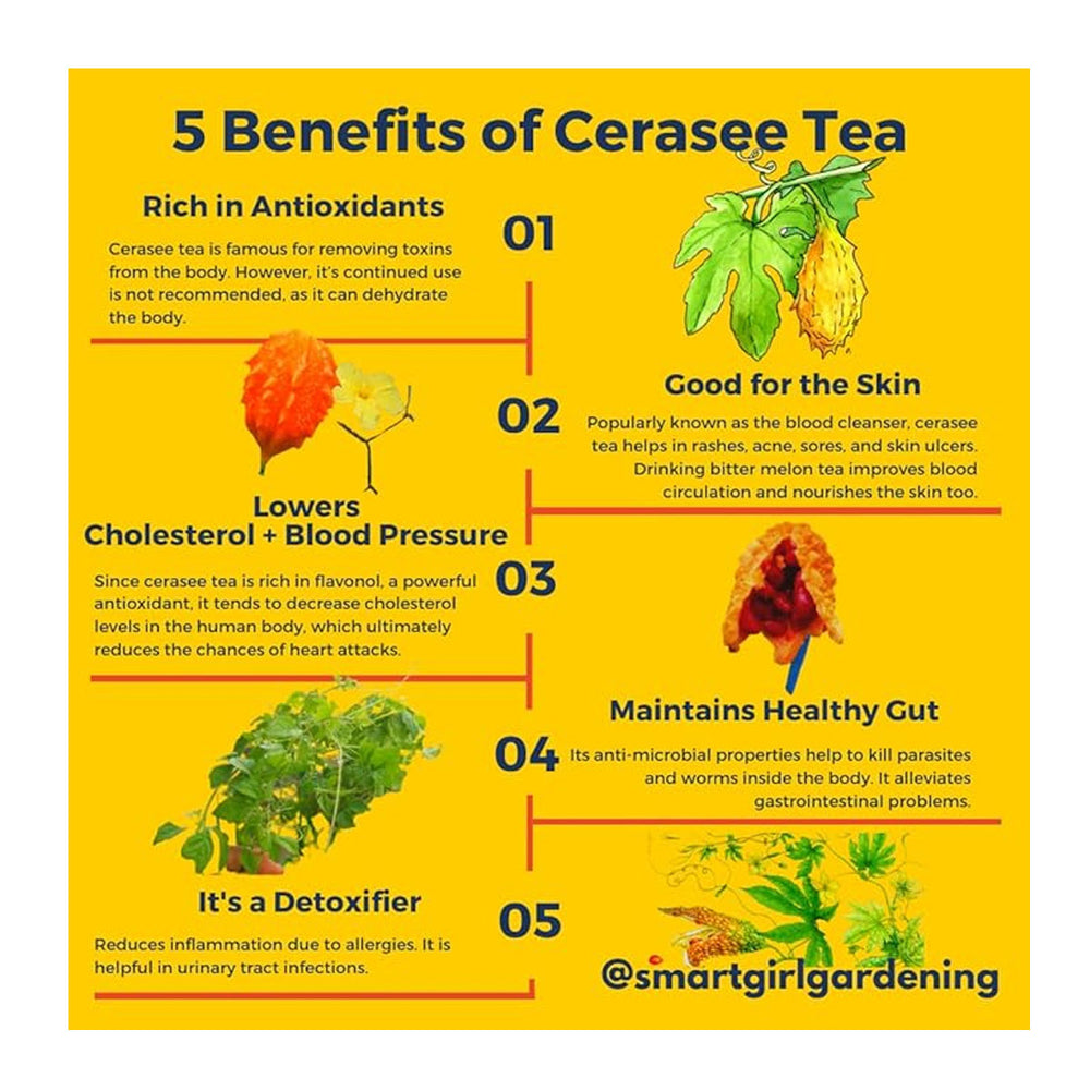 Cerasee Powder JCS Cerasee Tea 38.4g – JAMROCK GOODIES LLC