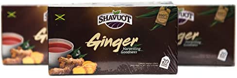 Shavuot Ginger Tea Bags Caffeine Free 30g